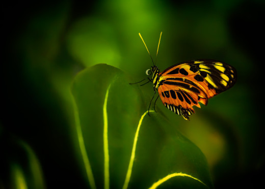 1749470 (a): :4096x2926